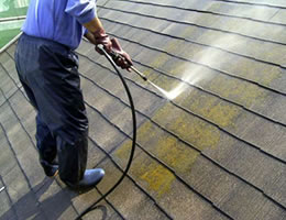 高圧洗浄で汚れ・藻・カビを除去