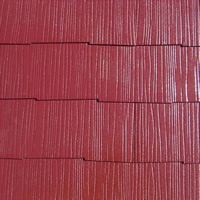 [屋根プラン] シリコンAプラン：水系カスタムシリコンⅡ 施工事例