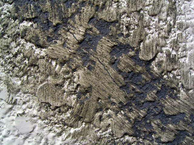 刷り込み処理後